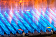 Landscove gas fired boilers